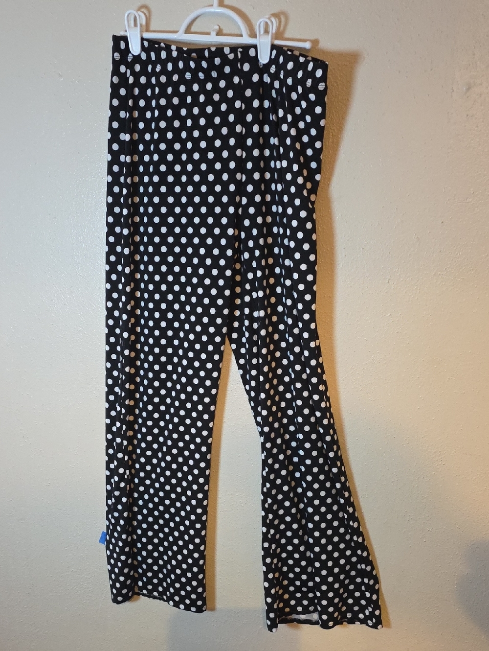 Focus 2000 Black and White Polka Dot Boot-Cut Pants